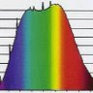 Meet your Posher, Laura may